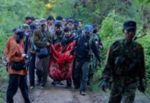 El papa pide rezar por todos los que sufren los conflictos armados en todo el mundo