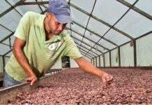 EE.UU. excluye más 12 productos agrícolas de RD de arancel recíproco