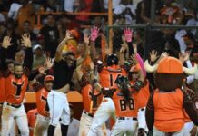 Los Toros se imponen al Licey en la doble jornada