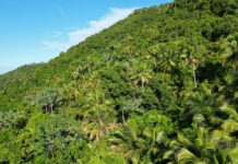 República Dominicana impulsa plataforma nacional de financiamiento climático con apoyo del Fondo Verde para el Clima