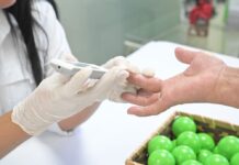 Senasa: estilo, verticalidad y expiación