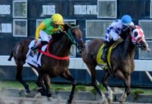 El Pool paga RD$30,884.00 y jinete Héctor Hernández gana dos en el Quinto