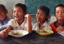 Alimentación global