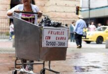 La OCDE prevé un “crecimiento modesto” en Latinoamérica ante la incertidumbre global