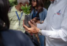 Semillas que renacen para restaurar la República Dominicana