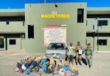 Ejército detiene minibús con cargamento ilegal de carbón vegetal