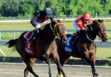 Jesús Frías se acerca más a De León en liderato entre jinetes