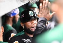 Las Estrellas propinan revés a los Gigantes del Cibao