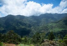 Medio Ambiente lanza Registro de Iniciativas de Producción Más Limpia para impulsar la sostenibilidad empresarial