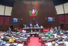 Cámara de Diputados aprueba en primera lectura proyecto de ley orgánica que crea el DNI