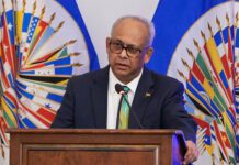 La OEA insta a Honduras a concluir el recuento “lo antes posible”