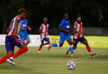 De los Santos explota gran talento ofensivo en Delfines