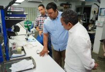 Zonas Francas mantienen ritmo de crecimiento en 2025