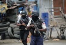 Fuerza antipandillas en Haití podría llegar a 7,500 hombres