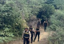 DNCD intensifica lucha contra el microtráfico