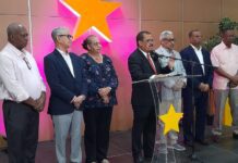 PLD: “Millones de familias se quedarán sin cena navideña este año porque la brisita no le ha llegado”