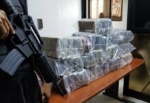 Decomisan 114 paquetes de cocaína cerca costas de Baní