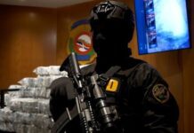 DNCD confisca 251 paquetes de cocaína en el puerto de Haina
