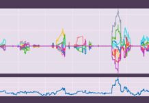 Detectan un gen que reduce el ‘ruido’ en el cerebro, calma la mente y mejora la atención