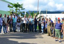 FEDA dona 120,000 plántulas de café y herramientas a productores desde Arroyo Cano hasta Los Fríos