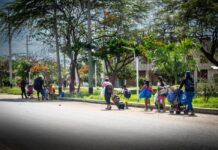 La OIM pide la mitad del presupuesto del año pasado para asistir a los migrantes en 2026