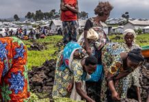 Comida costosa e inestabilidad social, caras visibles de la desertificación, alerta la ONU