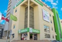 El autoengaño en la transparencia: El caso SENASA