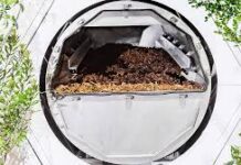 De la acuamación al compost humano: el dilema de morirse sin contaminar
