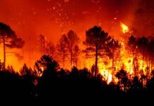 El informe anual de World Weather Attribution describe el “panorama desolador” de 2025