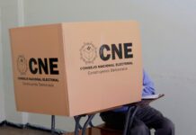 Secretario de OEA pide a Estados miembros no interferir en las elecciones de otros países