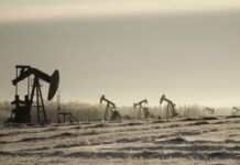 El petróleo de Texas se recupera y gana un 1,21 %, hasta los 55,94 dólares