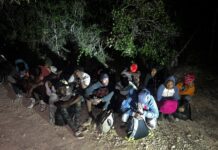 Ejército detiene a conductor con indocumentados y arresta a otros 17 nacionales haitianos en una zona boscosa de Montecristi