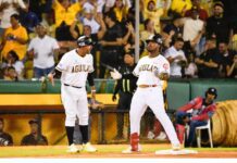 Alberto Rodríguez, Novato del Año