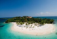 Reconocimiento al éxito en el sector turismo