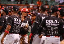 Leones llegan a 5-0 con triunfo sobre Toros en La Romana