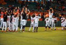 Toros remontan ante Leones guiados por Yairo