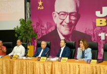 PLD perfilará la lista preliminar de aspirantes a la candidatura presidencial