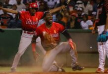 Junior Lake y la experiencia que marca el éxito de los Leones en el béisbol dominicano