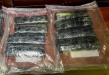 DNCD frustra envío de 18 paquetes de presunta cocaína con destino a Puerto Rico