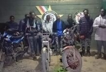 Ejército detiene 18 nacionales haitianos en operativo en comunidades de Santiago Rodríguez