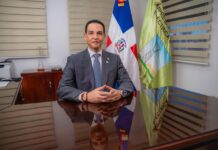 Gestión de Abinader ha captado más de US$3,500 MM en inversión para generación energética