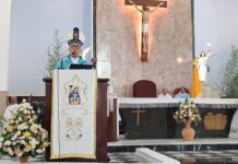 Arzobispo de Santiago alerta sobre corrupción y amenaza ambiental en misa de la Altagracia