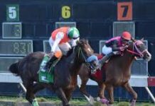 El Pool paga RD$14,964.00 y jinete José F. Rojas gana 2 carreras