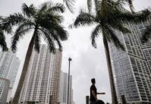 Florida registrará su temperatura más baja en 15 años con 0 grados en Miami