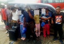 Ejército intercepta jeepeta con 11 nacionales haitianos indocumentados en Navarrete