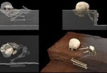 La cremación deliberada más antigua de África fue hace 9,500 años
