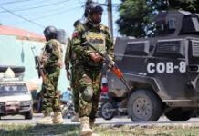 Choques entre Policía de Haití y pandilleros dejan más de 100 muertos en enero, dice ONG