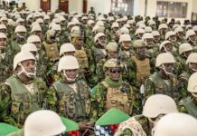 Subsecretario de Estado de EEUU: El Gobierno de Haití habría caído sin la Policía de Kenia