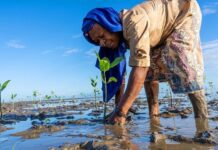 ONU: Las inversiones dañinas son treinta veces mayores que las que protegen la naturaleza