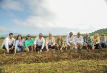 INTABACO y la Universidad ISA inician formación en cultivo de tabaco